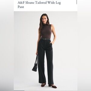 Abercrombie & Fitch Tailored Wide Leg Pant Black size 28/6 LONG curve love